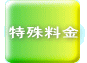 特殊料金
